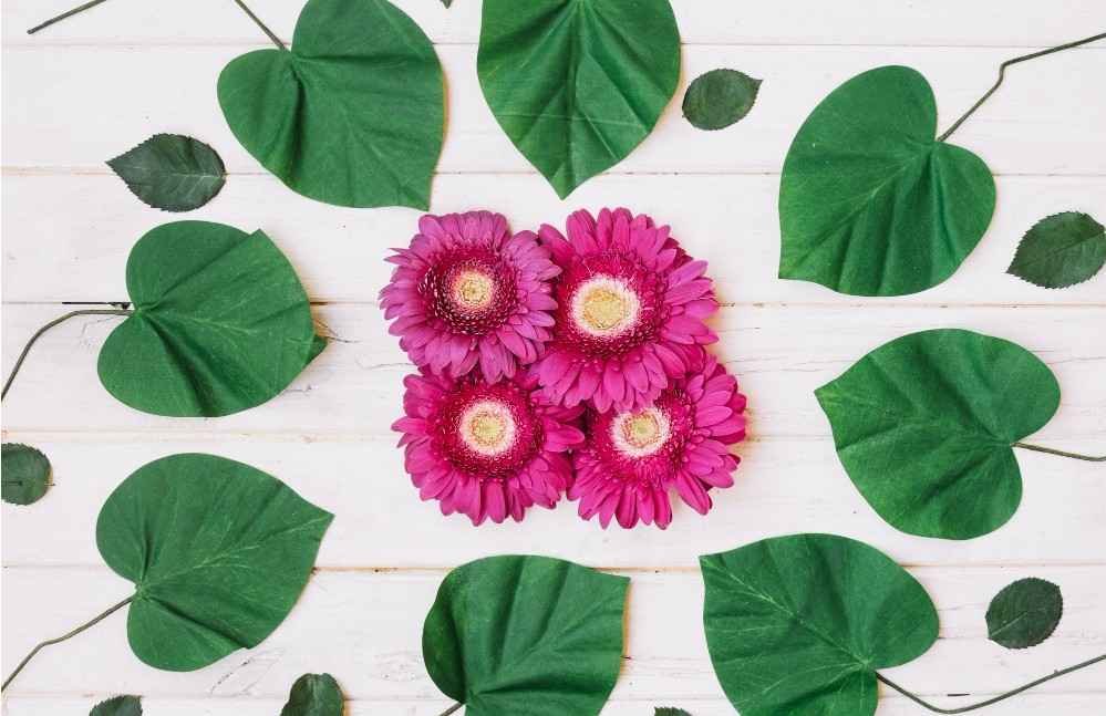 plant-a-heart