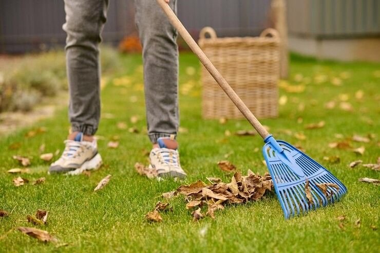 Stop Mowing Lawns in the Fall