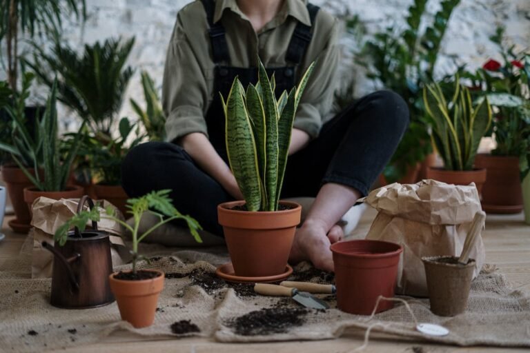 Potting Soil Ingredients