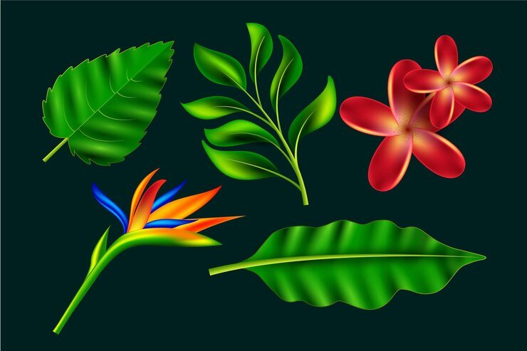 Tropical Plants