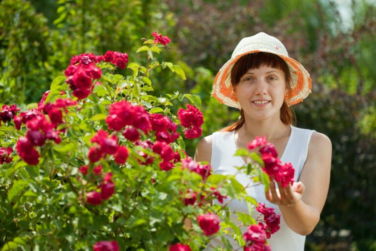 how to prune roses