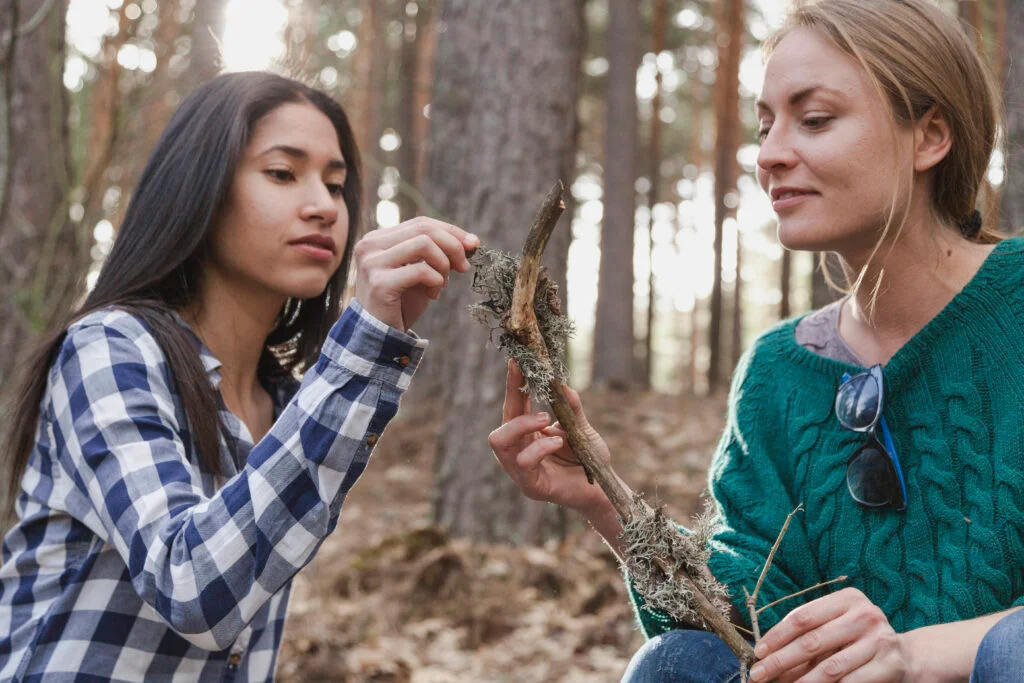 how to get rid of bagworms