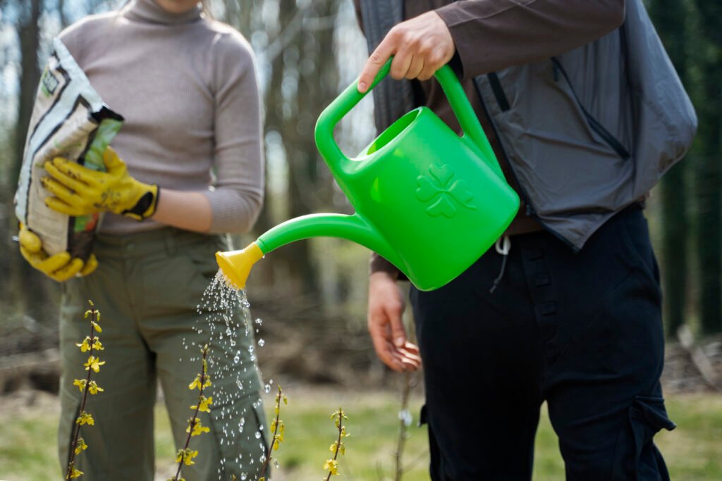 how long to water grass