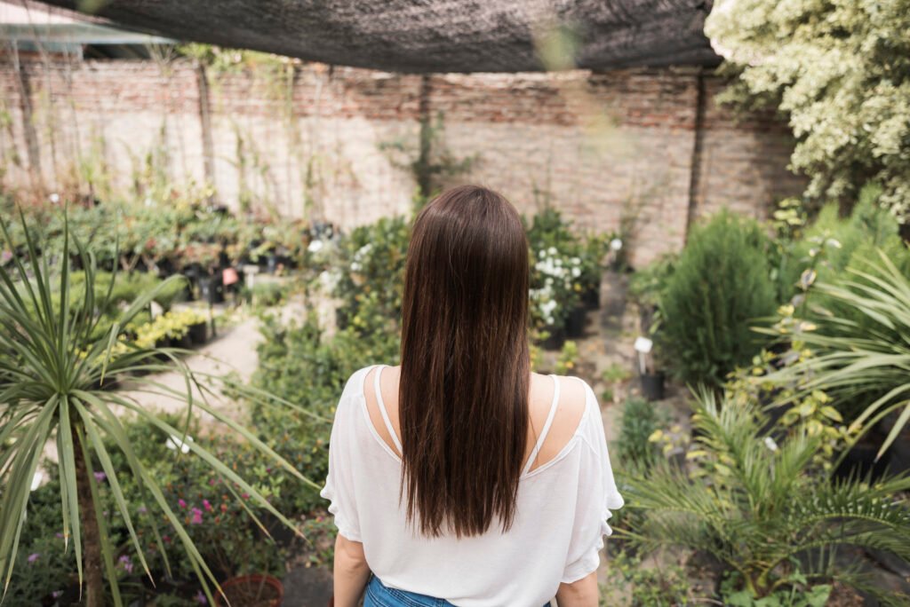 shade garden